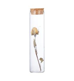 Мини-флорариум с сухоцветами  12см