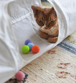 Набор мячиков для кошек