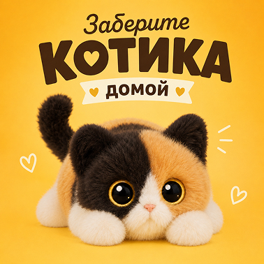 Заберите котика домой