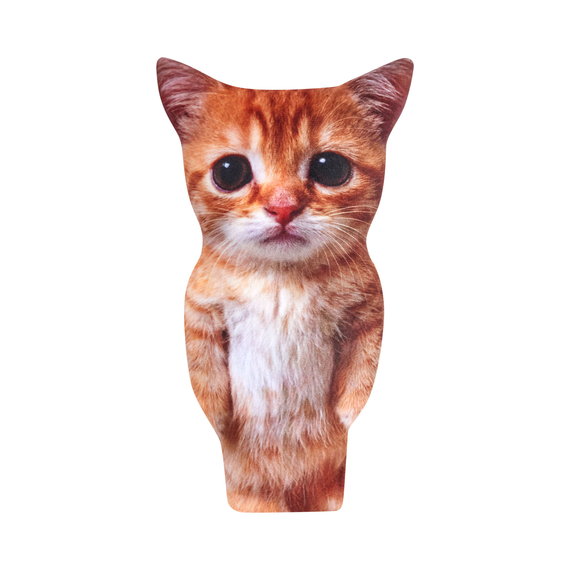 Мягкая игрушка Кот Мем 28 см, фото 