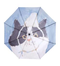Зонт Cat, автомат