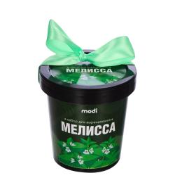 Набор для выращивания Мелисса